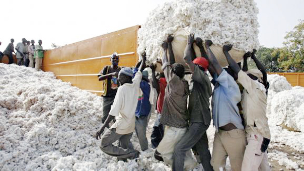 GOUVERNEMENT: Les cotonculteurs pleurent  le départ du ministre de l’agriculture