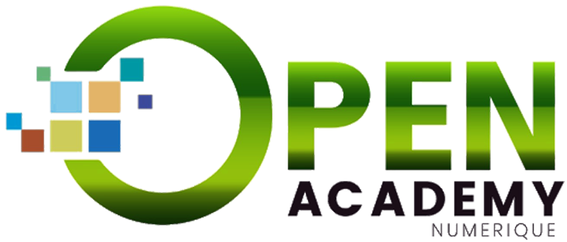Open Academy : L’école numérique malienne  ouvre ses portes