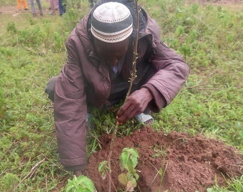 REBOISEMENT : TIÉNDOUGOU DAMBÉ MOBILISE SES 77 VILLAGES À SAMB
